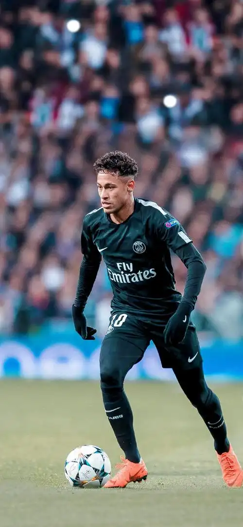 还展示了小 还展示了小