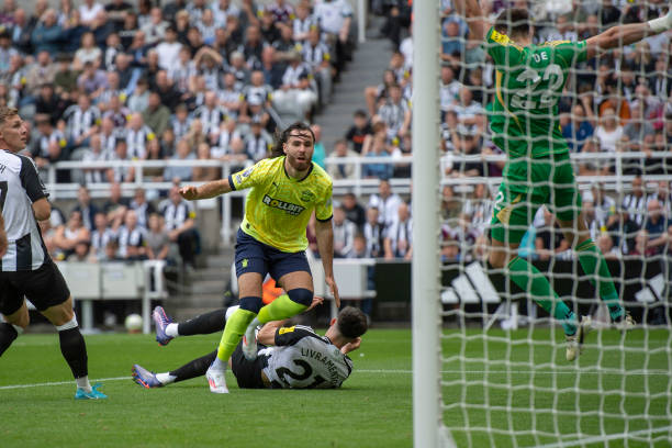 希望赢得荣 希望赢得荣